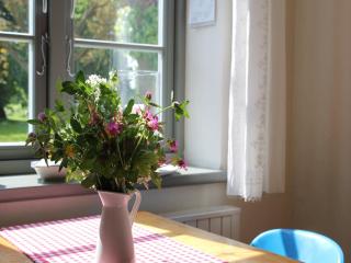 holiday apartment in Steffenshagen with garden, cleaning included - Steffenshagen - 2