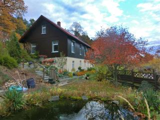 Spacious apartment in Harz near ski area, cleaning included - Blankenburg - 9