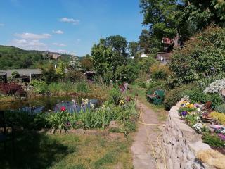 Spacious apartment in Harz near ski area, cleaning included - Blankenburg - 4