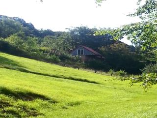 Holiday Home in Bad Pyrmont Spa Town, cleaning included - Eichenborn - 3