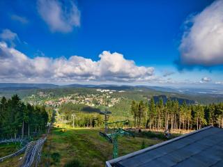 Tranquil apartment in Goslar - Bockswiese, cleaning included - Hahnenklee-Bockswiese - 7