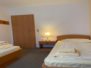 Apartment in Germany near Sauerland, cleaning included - Willingen - 6