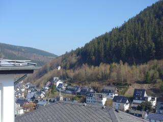 Apartment in Germany near Sauerland, cleaning included - Willingen - 5