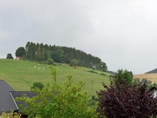 Flat in Heringhausen with private terrace, cleaning included - Heringhausen - 4
