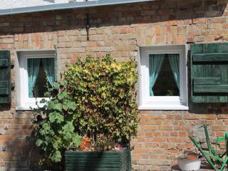 Apartment in Ribnitz near Harbor & Beach, cleaning included - Ribnitz-Damgarten - 6