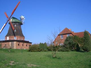 Apartment in Neubukow near Baltic Sea Beach, cleaning included - Neubukow - 5