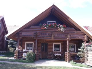 Graceful Holiday Home in Dankerode with Garden, cleaning included - Dankerode - 6