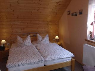 Graceful Holiday Home in Dankerode with Garden, cleaning included - Dankerode - 3