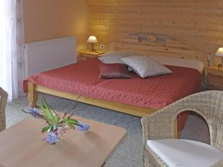 Graceful Holiday Home in Dankerode with Garden, cleaning included - Dankerode - 2