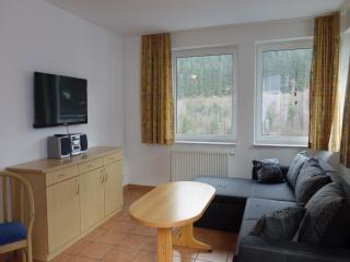 Holiday home in Willingen with ski lift nearby, cleaning included - Willingen - 8