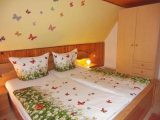 Apartment near the forest in Lichtenhain, cleaning included - Lichtenhain - 5