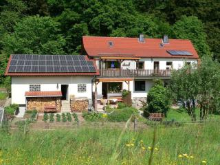 Quiet holiday home with terrace, cleaning included - Korbach - 0