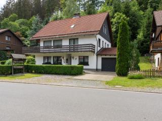 Apartment in Harz Mountains with Hiking Trails, cleaning included - Kamschlacken - 4