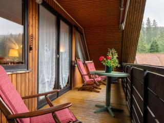 Apartment in Harz Mountains with Hiking Trails, cleaning included - Kamschlacken - 7