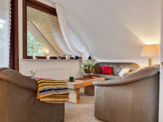 Apartment in Harz Mountains with Hiking Trails, cleaning included - Kamschlacken - 5