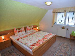Apartment with garden in Sebnitz, cleaning included - Lichtenhain - 7