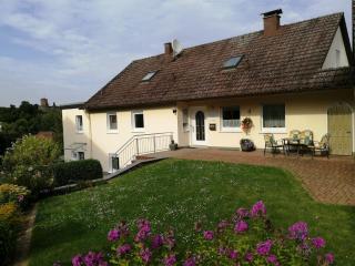 Apartment in Polle near Weser Uplands, cleaning included - Polle - 9