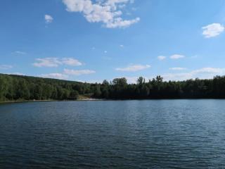 Apartment in Leuderode near Wildlife Park, cleaning included - - 6
