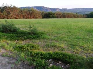 Apartment in Lichtenhain With Garden, cleaning included - Lichtenhain - 1