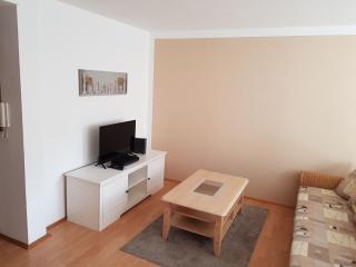 Holiday Flat in Kamenz near Baroque Castles, cleaning included - Kamenz - 4