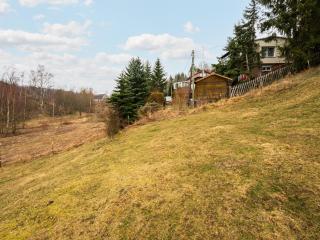 Holiday home in the Harz Mountains with garden, cleaning included - Harzgerode - 3