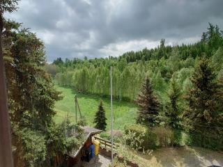 Holiday home in the Harz Mountains with garden, cleaning included - Harzgerode - 1