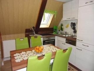 Charming flat in Sebnitz with garden, cleaning included - Lichtenhain - 8