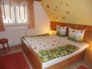 Charming flat in Sebnitz with garden, cleaning included - Lichtenhain - 3