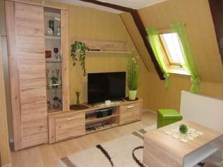 Charming flat in Sebnitz with garden, cleaning included - Lichtenhain - 0