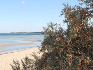 Apartment near Baltic Sea and Bothmers Castle, cleaning included - Wahrstorf - 5