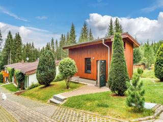 Holiday home with swimming pool in Jägersgrün, cleaning included - Jägersgrün - 2