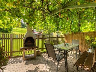 Apartment in Sebnitz in Saxon with terrace, cleaning included - Sebnitz - 7