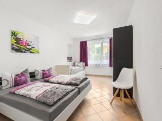 Apartment in Sebnitz in Saxon with terrace, cleaning included - Sebnitz - 8