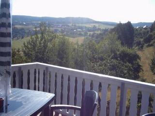 Apartment in Morbach near Ski Lift, cleaning included - Riedenburg - 6