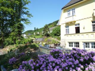 Villa in Bad Pyrmont near Thermal Baths, cleaning included - Löwensen - 2