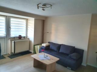 Apartment in Saxony in a charming area , cleaning included - Freital - 8