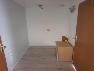 Apartment in Saxony in a charming area , cleaning included - Freital - 2
