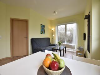 Ruhiges Appartement in Zierow mit Terrasse, cleaning included - Zierow - 5