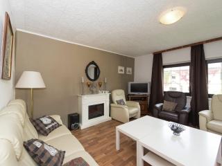 Holiday Home Ore Mountains near Ski Lifts, cleaning included - Deutschneudorf - 0