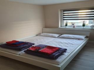Apartment in Saxony in a charming area , cleaning included - Freital - 6