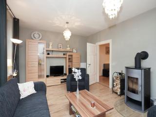 Holiday Home in Rechenberg near Ski Area, cleaning included - Rechenberg-Bienenmühle - 4