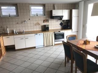 Olsdorf Forestview Apartment, cleaning included - - 0