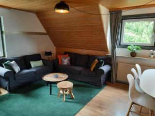 partment Anear Willingen with private terrace, cleaning included - Willingen - 0