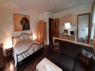 Flat in Wildemann near Hahnenklee Ski Resort, cleaning included - Wildemann - 6
