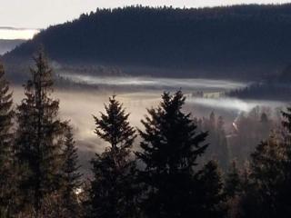 Bright apartment in the Harz Mountains, cleaning included - Meisdorf - 1