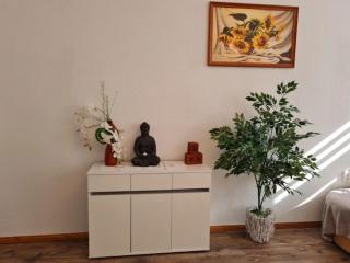 Modern city apartment in Zwickau, cleaning included - Zwickau - 4
