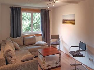 Apartment in Benneckenstein near Ski Lift, cleaning included - Benneckenstein - 1