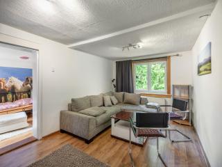 Apartment in Benneckenstein near Ski Lift, cleaning included - Benneckenstein - 0