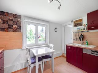 Komfort in Benneckensteintein, cleaning included - 1