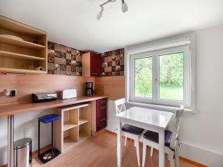 Apartment in Benneckenstein near Ski Lift, cleaning included - Benneckenstein - 8